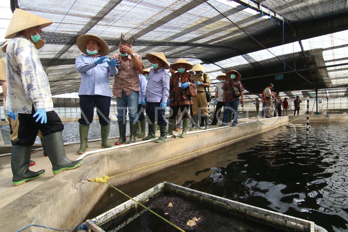 Tender Heritage Cilacap: Apa yang Akan Terjadi di 2026?